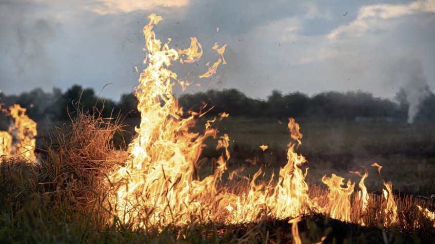 Фото: freepik.com