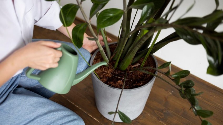 Фото: freepik.com