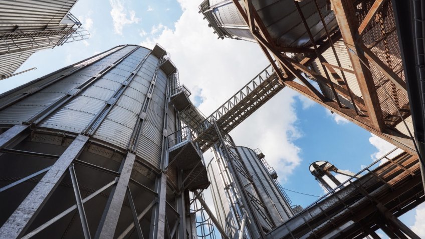 Фото: freepik.com