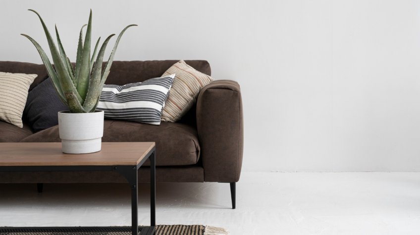 Фото: freepik.com