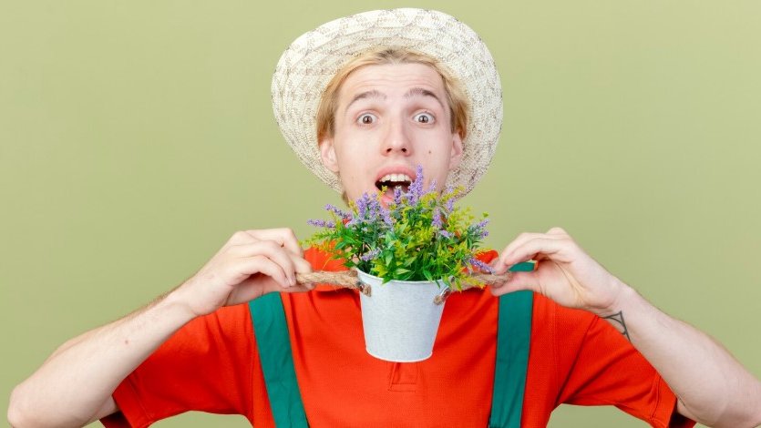 Фото: freepik.com