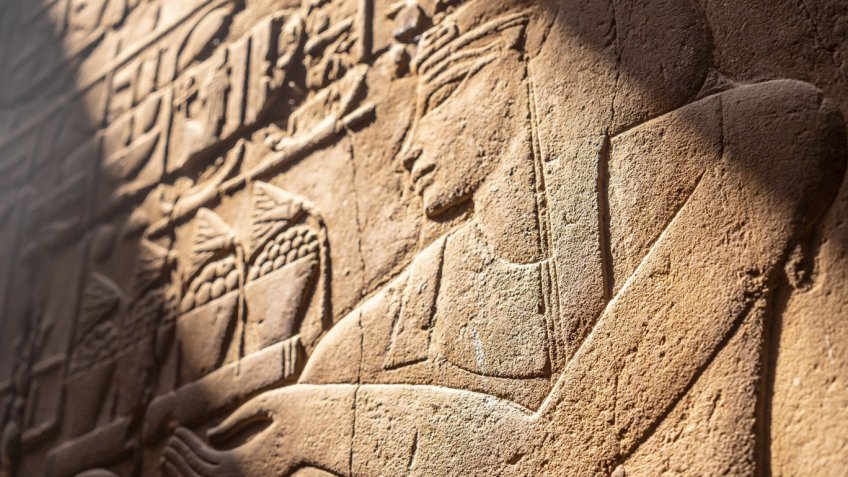 Фото: freepik.com