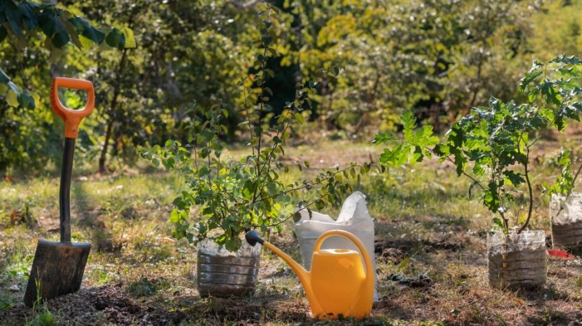 Фото: freepik.com