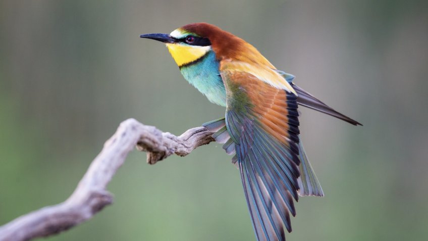 Фото: freepik.com