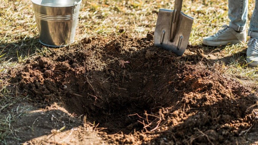 Фото: freepik.com