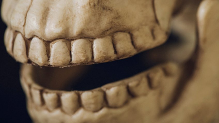 Фото: freepik.com