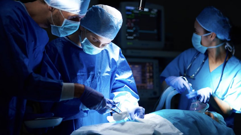 Фото: freepik.com