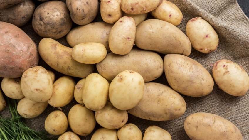 Фото: freepik.com