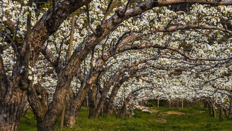 Фото: freepik.com