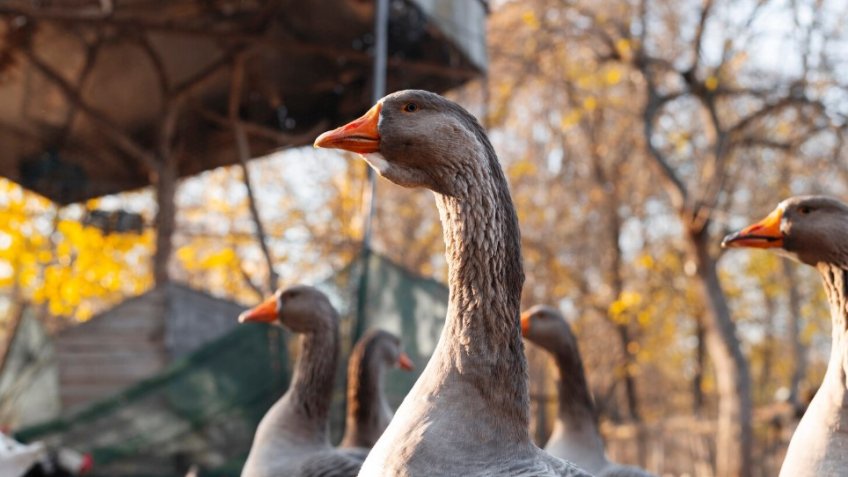 Фото: freepik.com