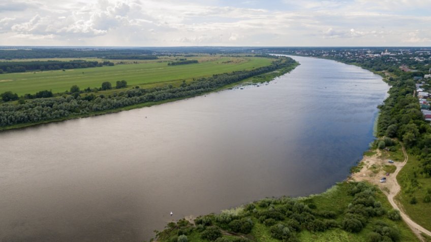 Фото: freepik.com