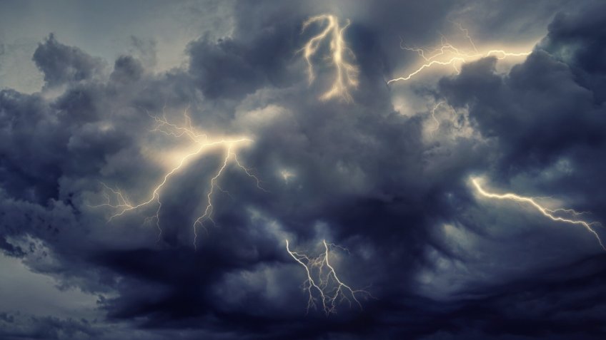 Фото: freepik.com