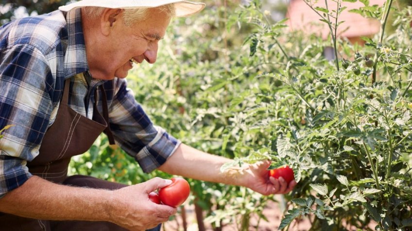 Фото: freepik.com