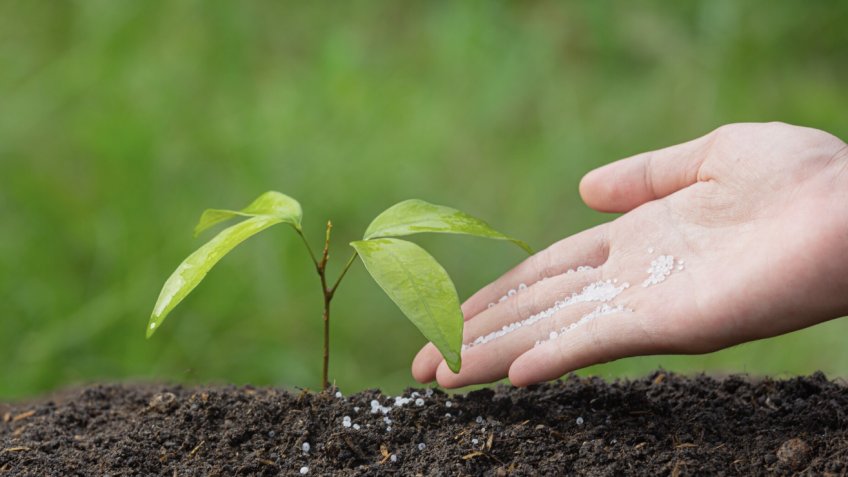 Фото: freepik.com