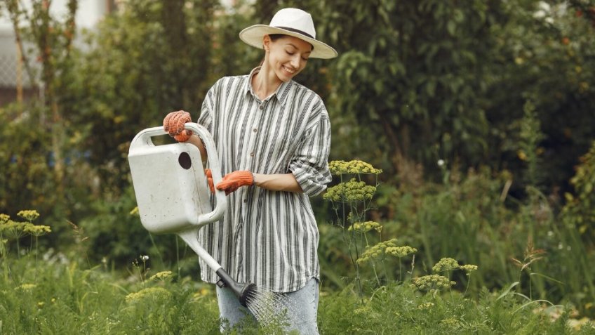 Фото: freepik.com