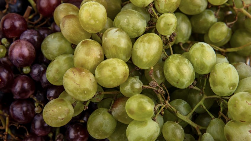 Фото: freepik.com