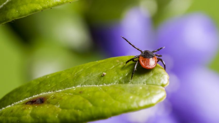 Фото: freepik.com