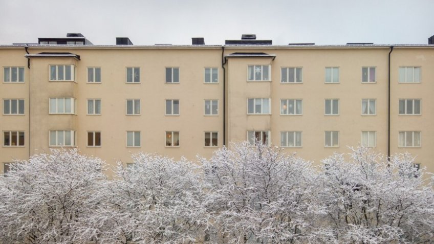 Фото: freepik.com