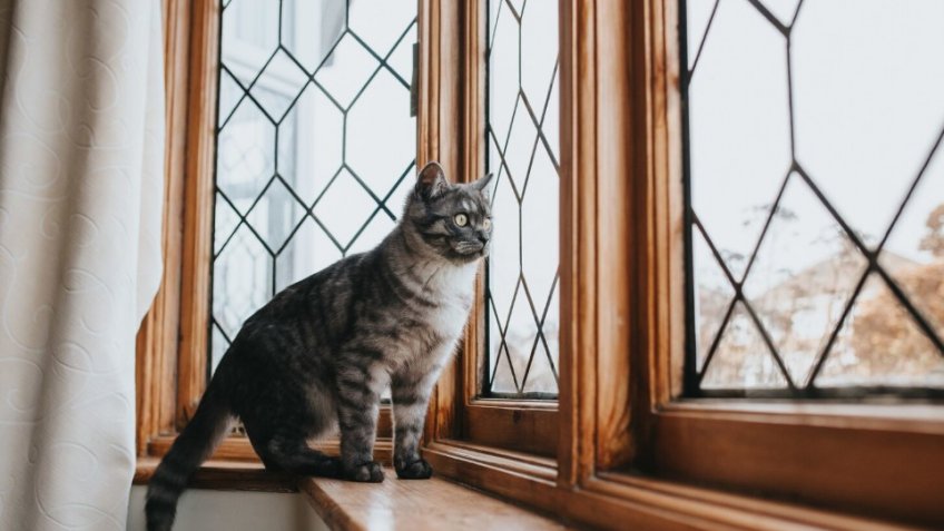 Фото: freepik.com