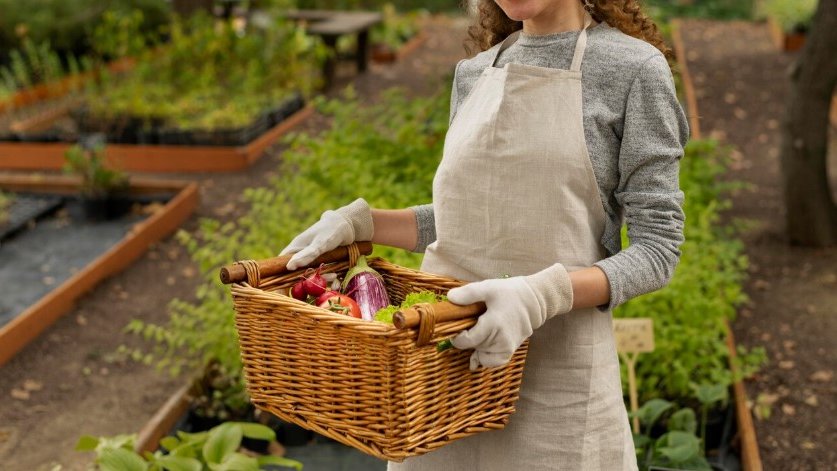 Фото: freepik.com