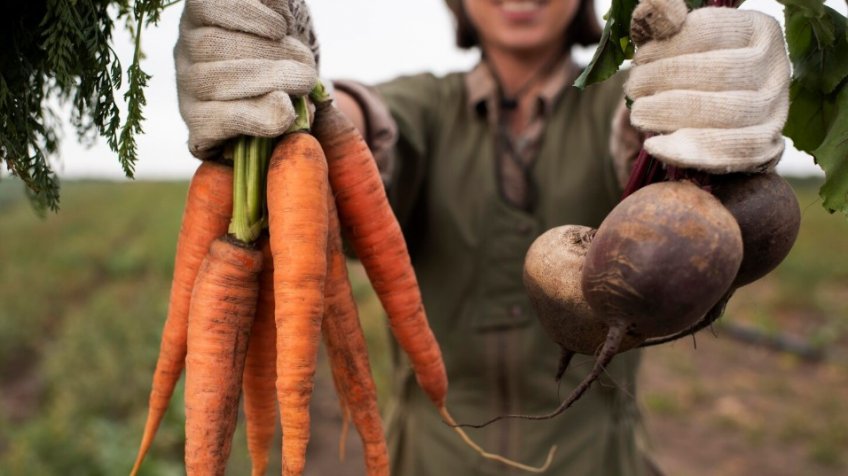 Фото: freepik.com