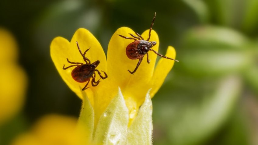 Фото: freepik.com