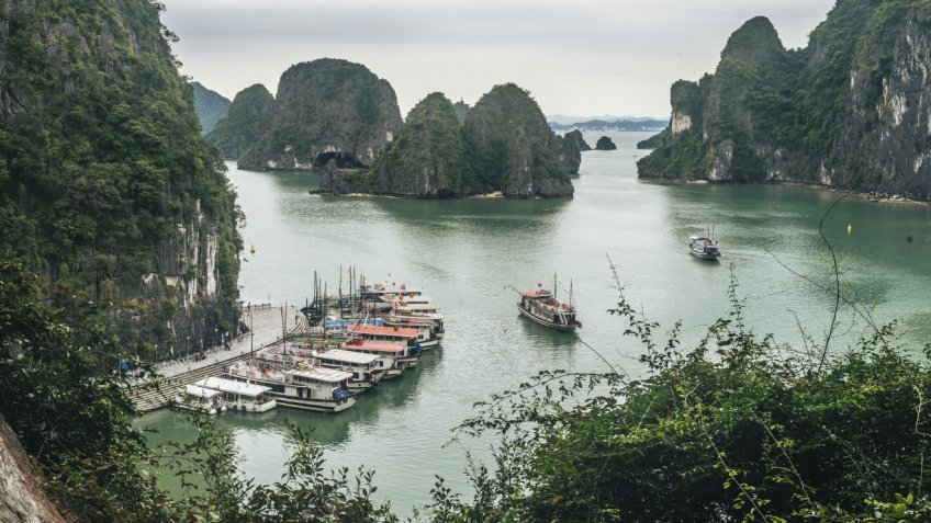 Фото: freepik.com