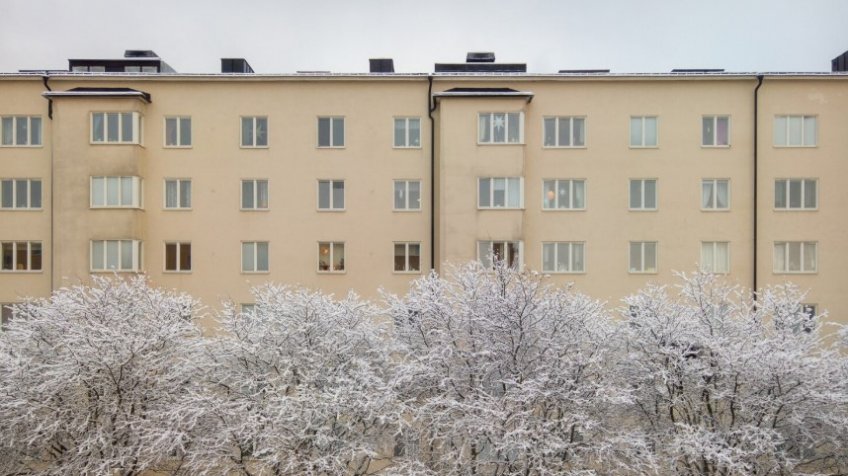 Фото: freepik.com