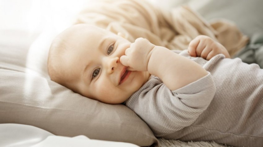 Фото: freepik.com