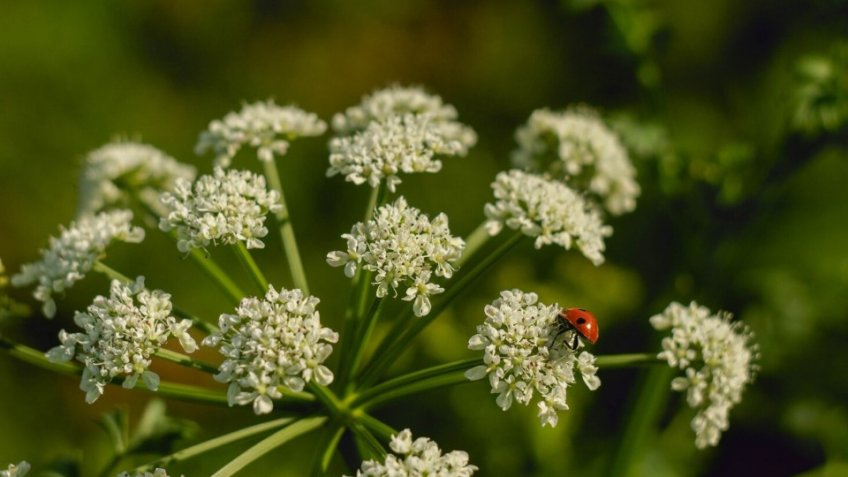 Фото: freepik.com