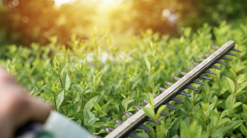 Фото: freepik.com