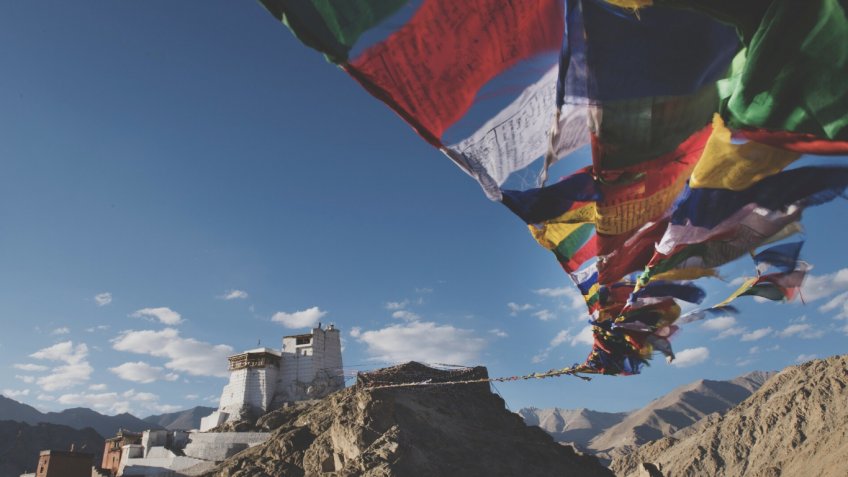 Фото: freepik.com