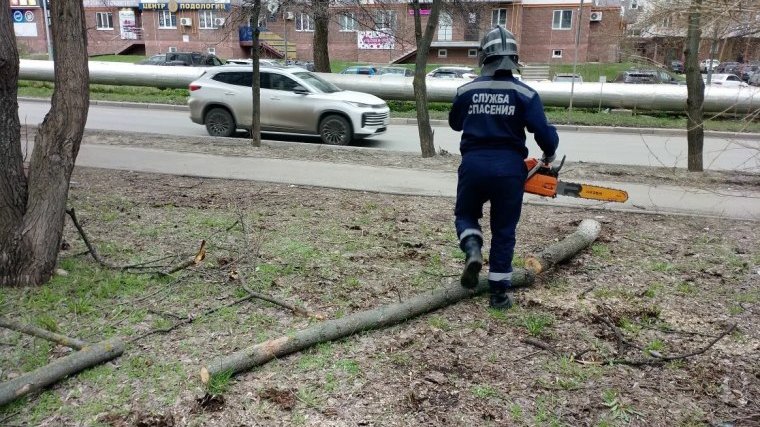 Фото: ТГ-канал Город Ульяновск