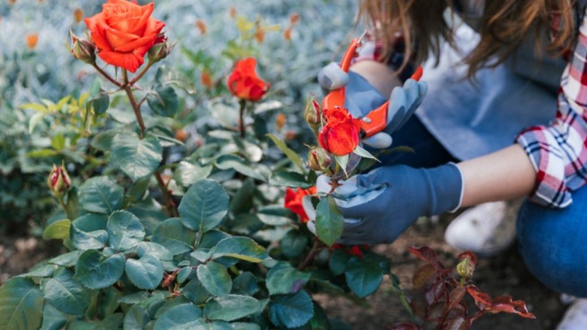 Фото: freepik.com