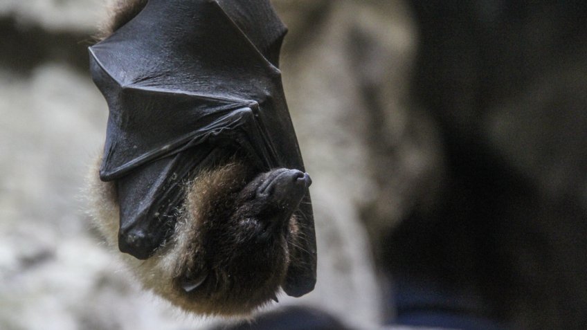 Фото: freepik.com