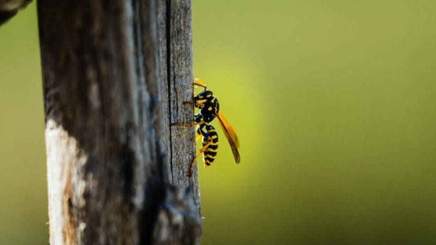 Фото: magnific.com