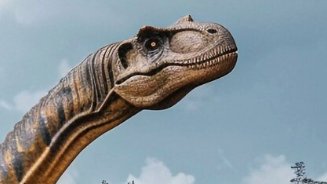 Фото: magnific.com