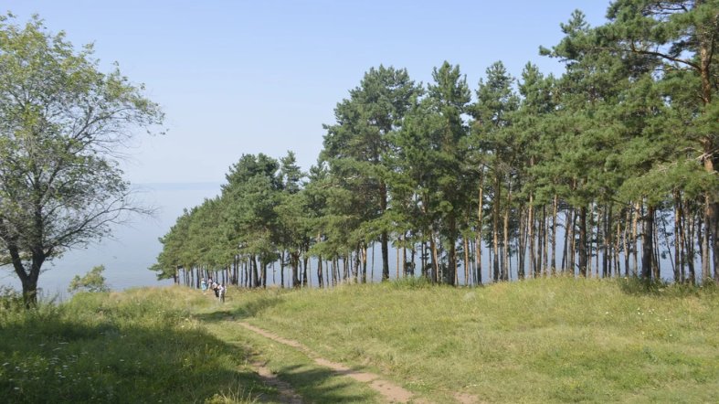 Предоставлено КП-Ульяновск