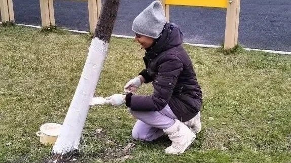 Фото: Администрация города Ульяновска