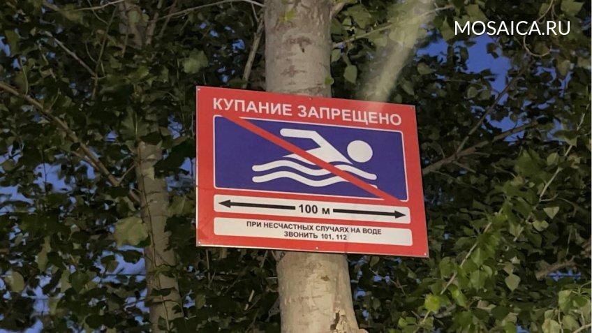 Мозаика
