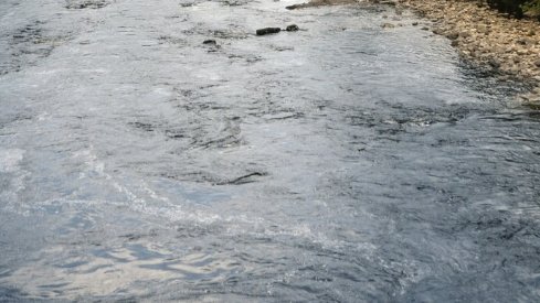 Фото: magnific.com