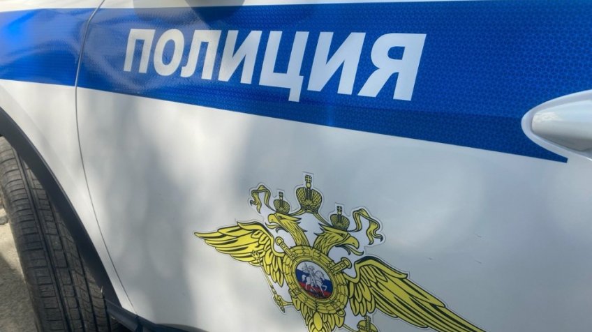 Фото: пресс-служба ОМВД России