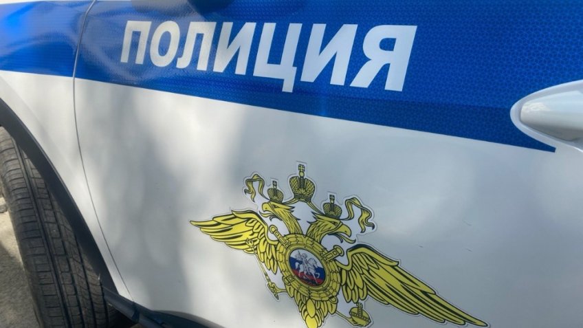 Фото: пресс-служба ОМВД России