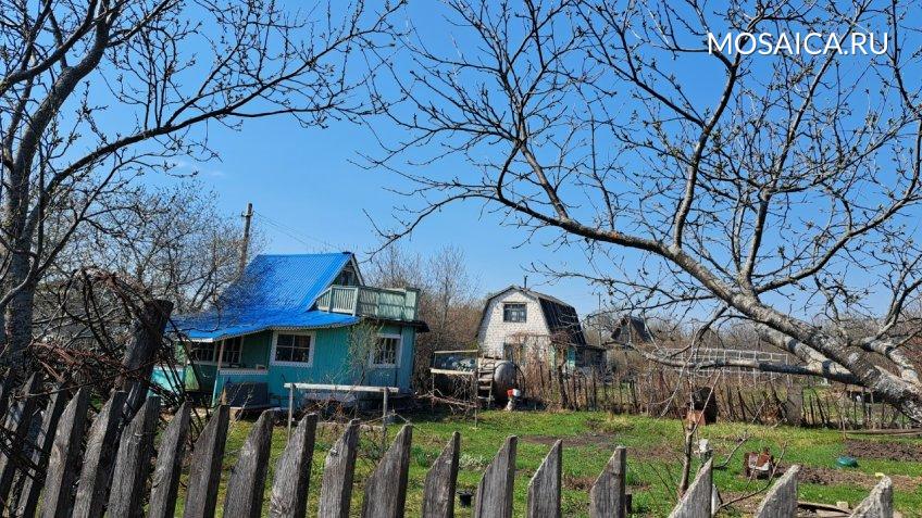 Мозаика