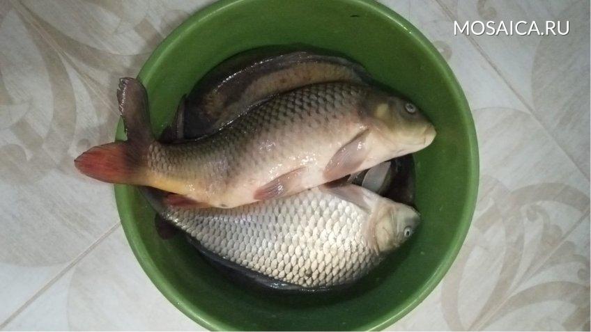 Мозаика