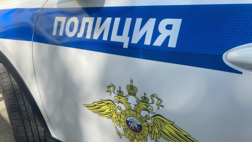 Фото: пресс-служба ОМВД России