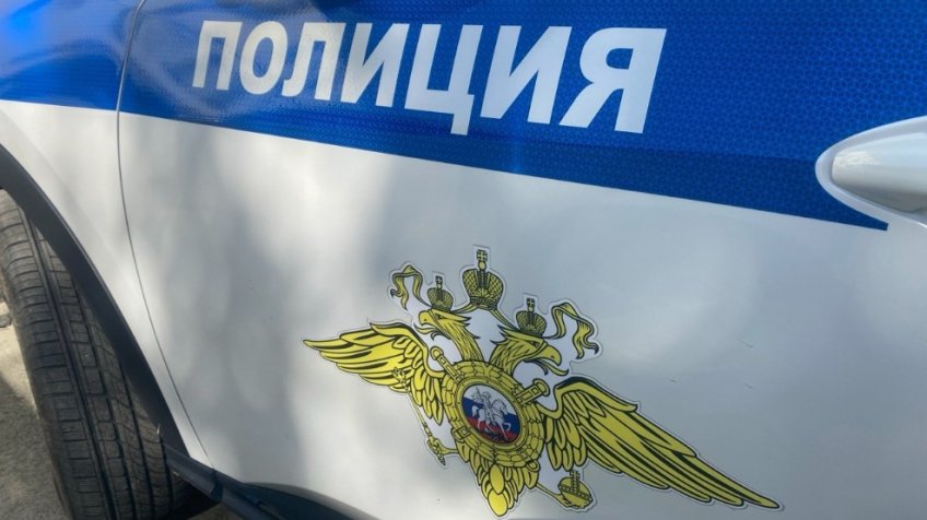 Фото: пресс-служба ОМВД России