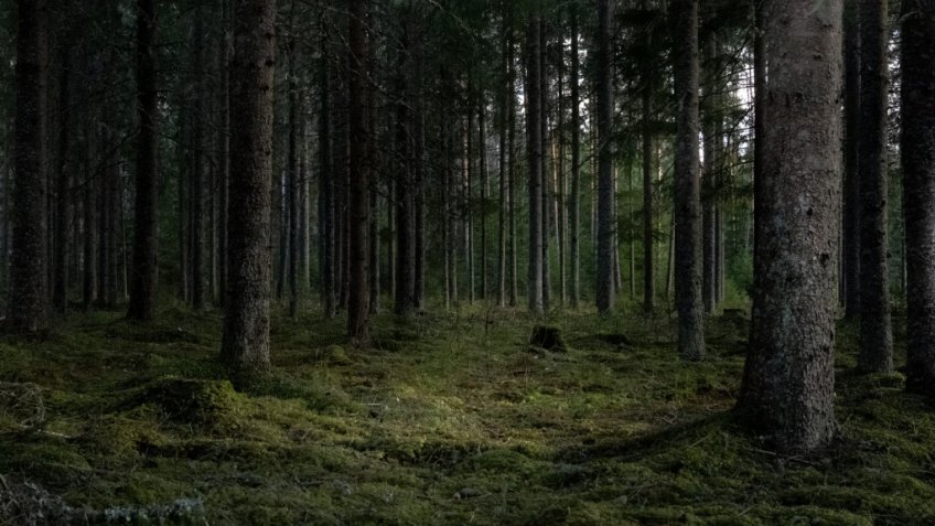 Фото: magnific.com