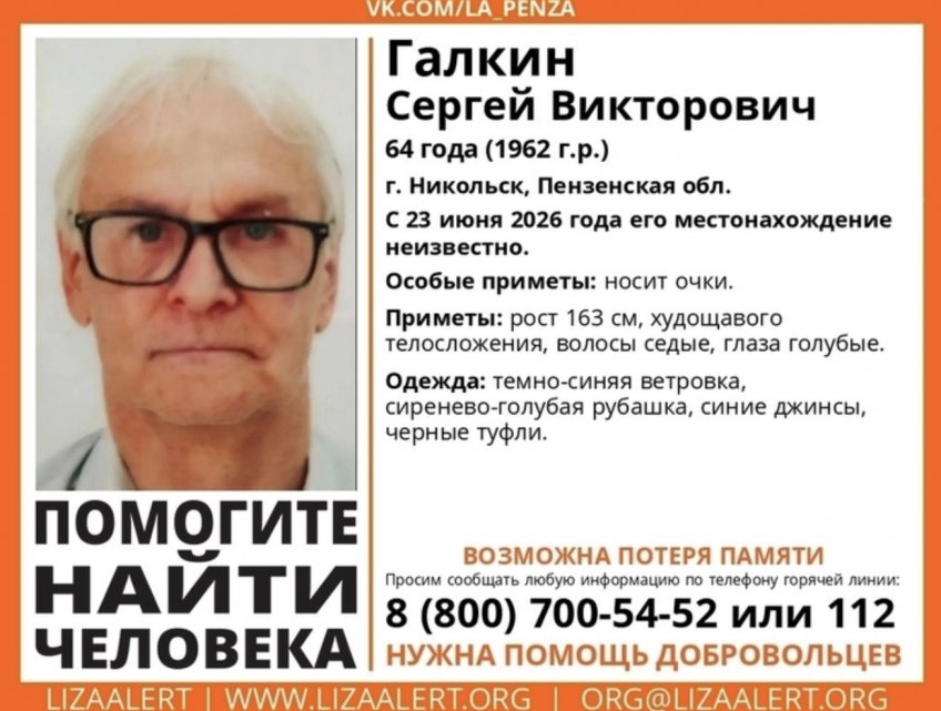 Фото: ЛизаАлерт Пензенской области