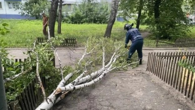 Фото: Администрация города Ульяновска